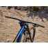 Giant Reign SX