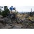 Giant Anthem Advanced SL 2