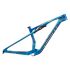 Giant Anthem Advanced SL Frameset