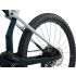 Giant Anthem Advanced SL 2
