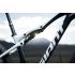 Giant Anthem Advanced SL 2