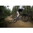 Giant Anthem Advanced SL 2
