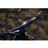 Giant Anthem Advanced SL 2