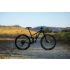 Giant Stance 29 1