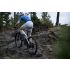 Giant Anthem Advanced SL 2
