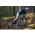 Giant Anthem Advanced SL 2