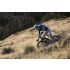Giant Anthem Advanced SL 2