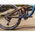 Giant Reign SX
