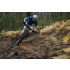 Giant Anthem Advanced SL 2