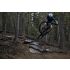 Giant Anthem Advanced SL 2